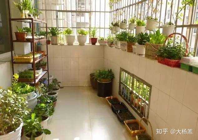 50公分宽的阳台图,60厘米小阳台布置 深度只有50公分的极窄小阳台怎么布置?