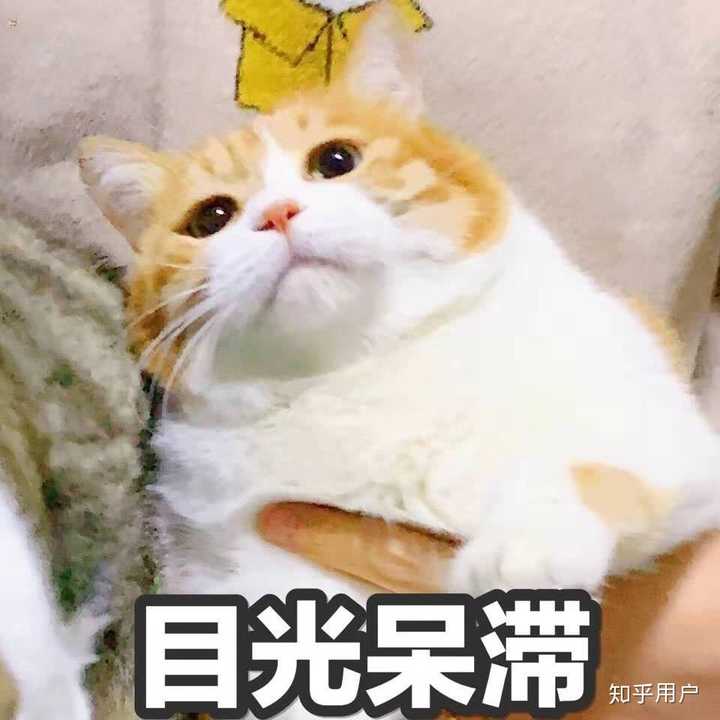 你在什么时候会突然觉得自己很可怜?