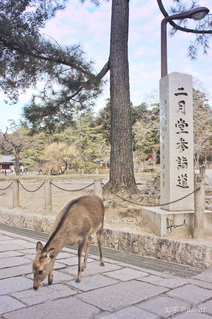 日本奈良