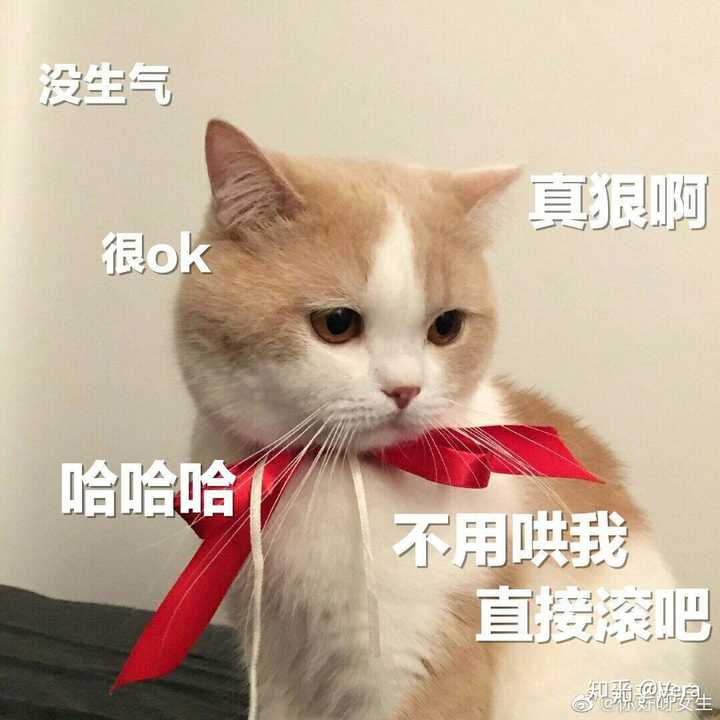 我男朋友经常夸我可爱   可能我总发一些猫猫的图吧