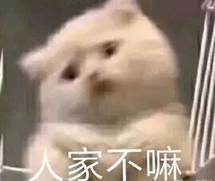 有哪些沙雕表情包?