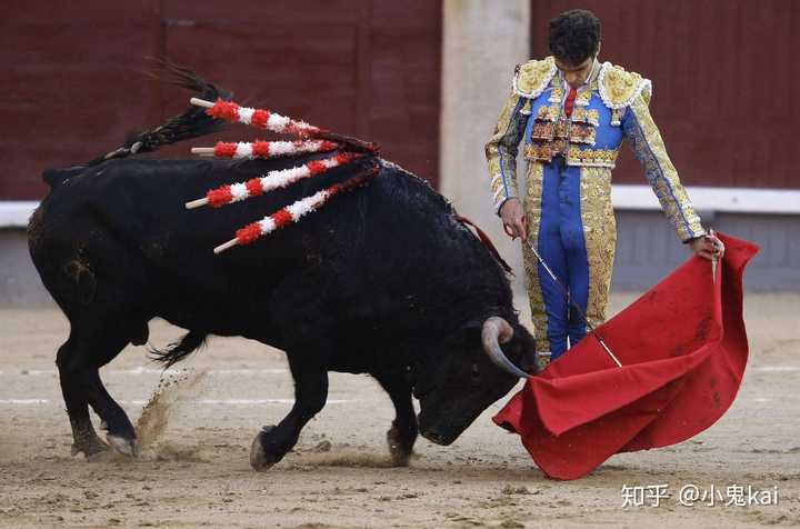 斗牛士套装 (男装) toreador suit 是来自西班牙斗牛士的传统服饰