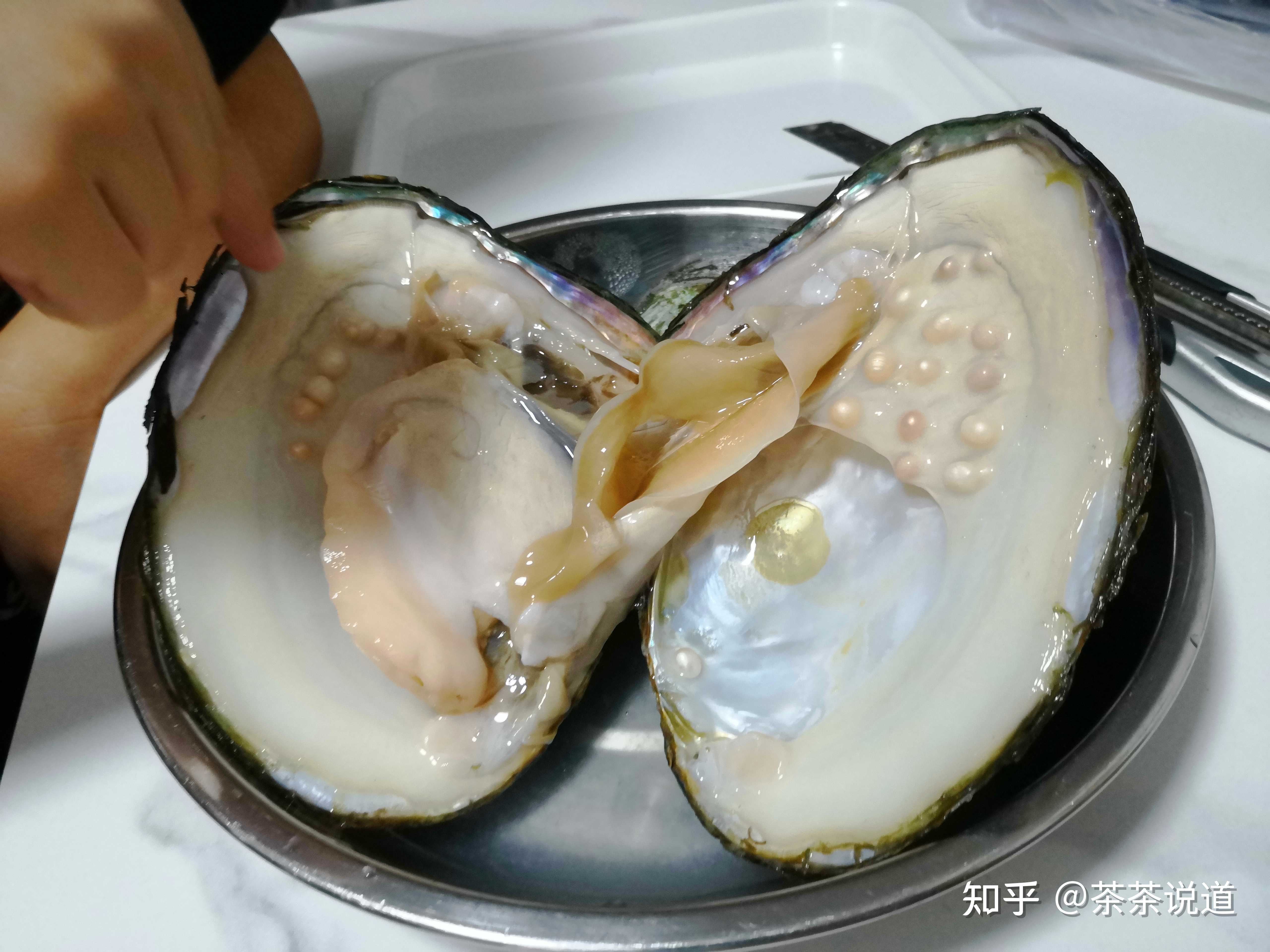 台风天开个蚌认识下珍珠是怎么来的