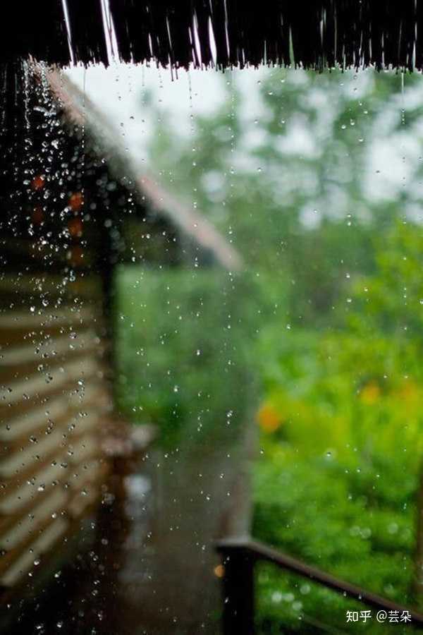 芸朵 的想法: 林清玄在《忧伤之雨》中写道:下雨天的