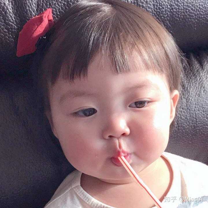 有没有一些胖胖很可爱的微信头像或图片?