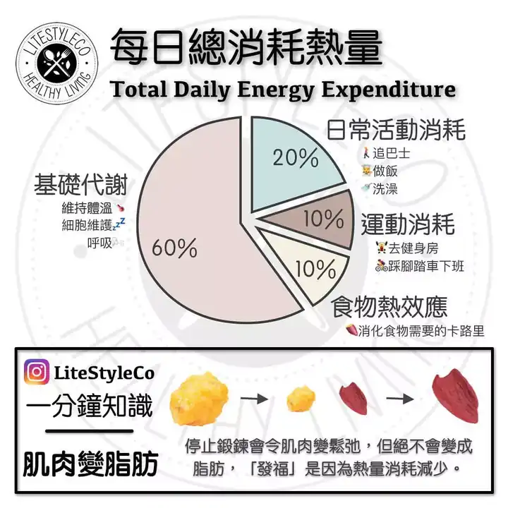 处理它们时,身体需要动用的能量就不同, 一般来说, 脂肪的食物热效应