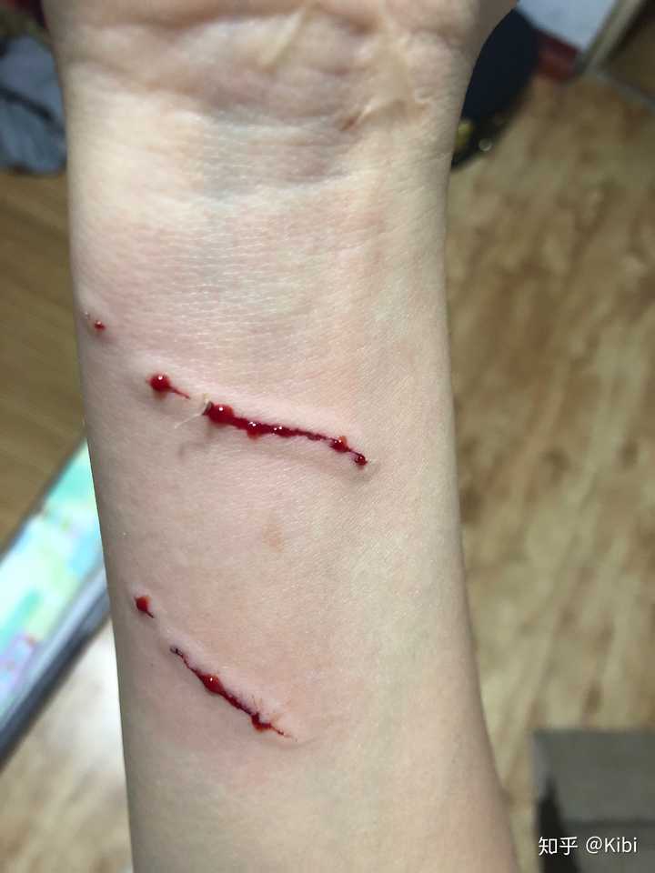 把被猫抓的血痕给猫看,它会不会表现出愧疚?