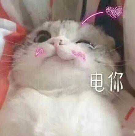 有什么适用于和老公/男票撒娇的可爱表情包?