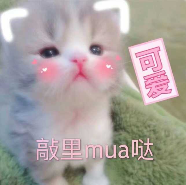 这个敲里mua哒可以非常委婉的diss 不失礼貌的微笑