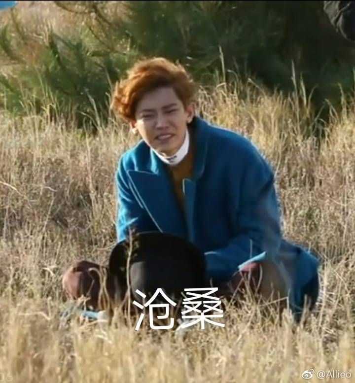 爱丽们知道哪些exo的小故事或者表情包吗?