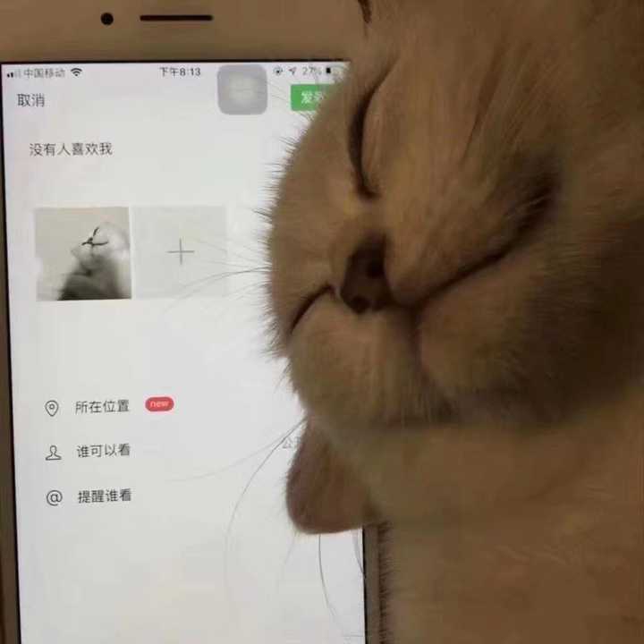 你手机微信好友里有哪些女生用的微信头像超可爱?