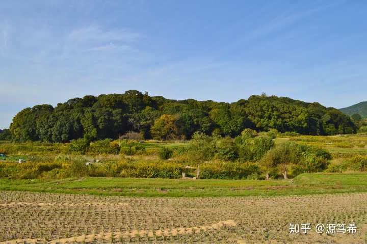 涩谷向山古坟,图自谷歌