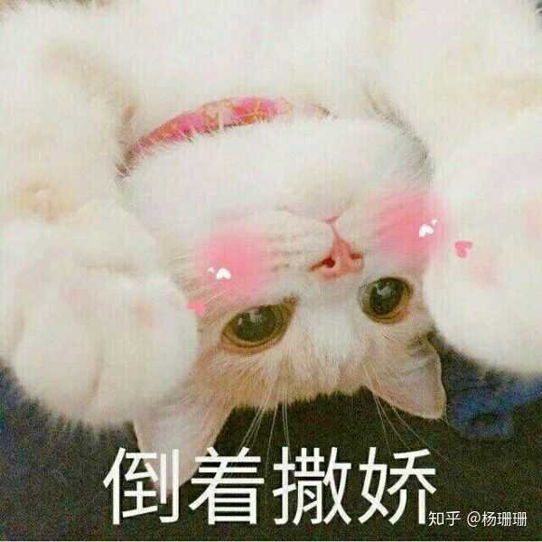有哪些恋爱中和男友撒娇用的可爱表情包?