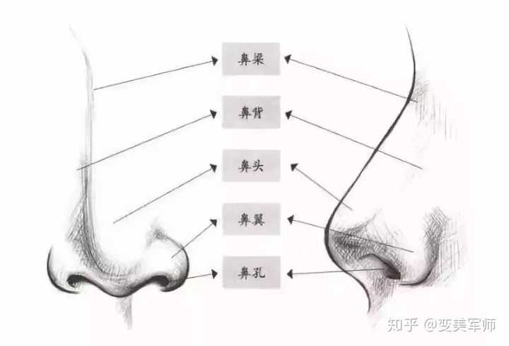 鼻头大该做什么类型的整形手术?