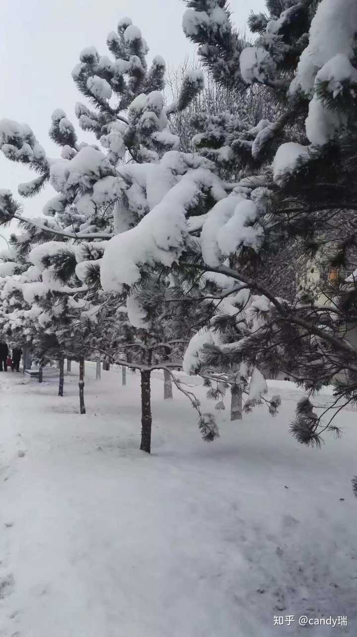 能看看你拍的下雪的照片吗?