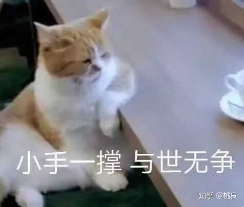 有没有用了很久舍不得换的微信头像?
