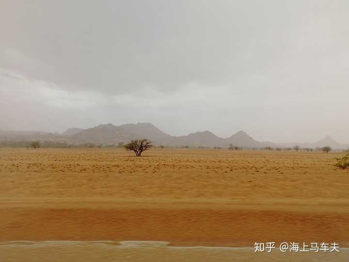 非洲西部稀树大草原的旱季是什么样的景观?