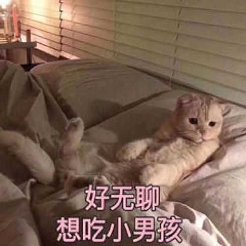 无聊ing