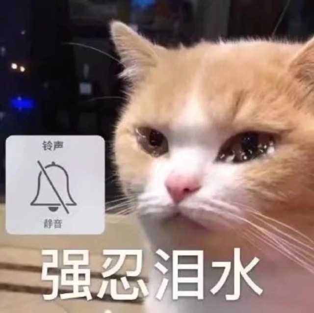 有没有哭泣猫的表情包?