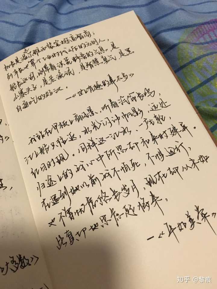 你见过哪些极富美感的手写钢笔字?