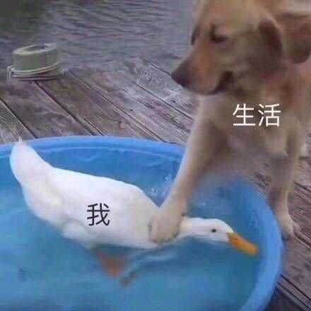 生活真是太苦了