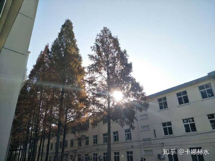 在睢宁县第二中学读书是一种怎样的体验?