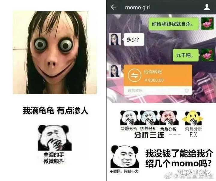 【一点资讯】当momo自杀游戏遇上中国沙雕网友!哈哈哈都会逼疯了!