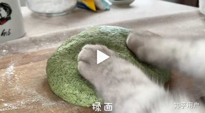 如何评价b站up主料理猫王长安?
