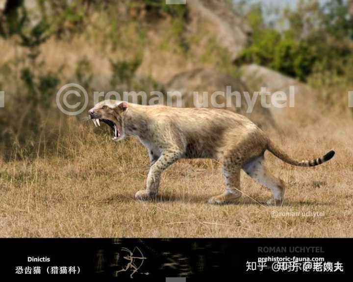 第三凶齿豨的亲戚古巨猪被恐齿猫杀过(前者比后者大得多)