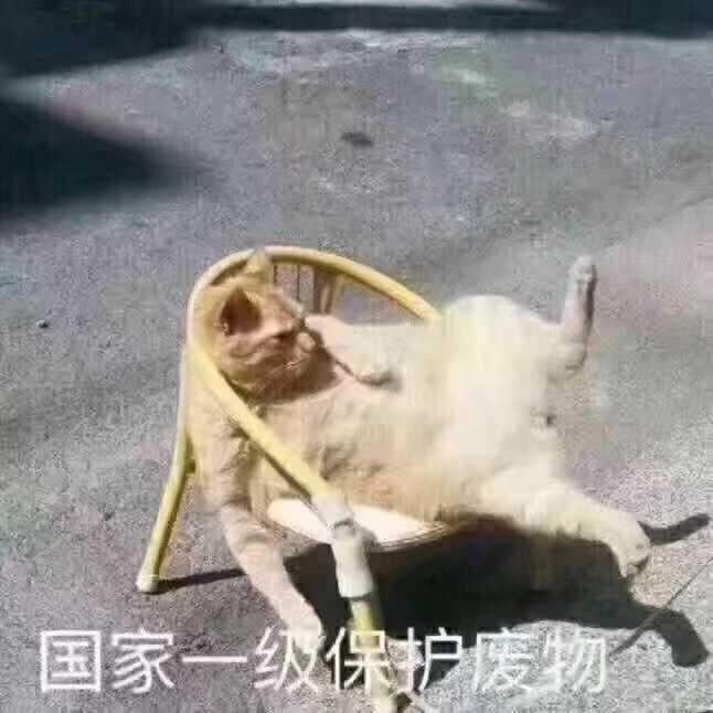 年轻人都喜欢用什么沙雕表情包?