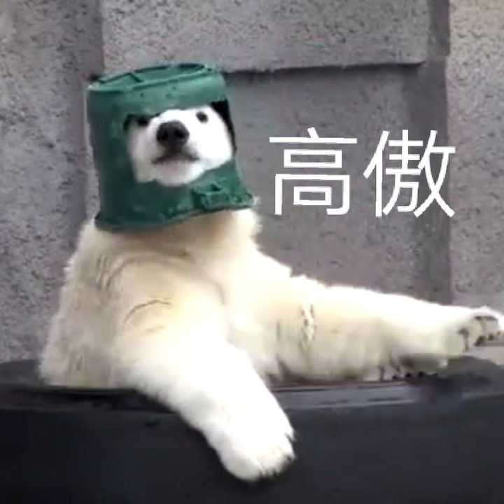userid=396221479 (来自@网易云音乐) 希望你喜欢北极熊崽崽 它们真的
