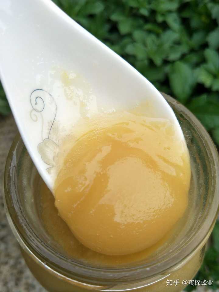 超市卖的十几块钱一瓶的蜂蜜是什么蜜?