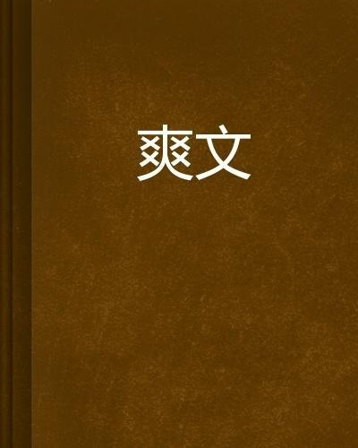 先介绍一下什么是 爽文!