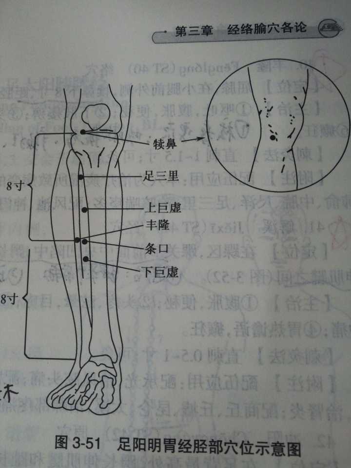 绝骨的准确位置图 知乎