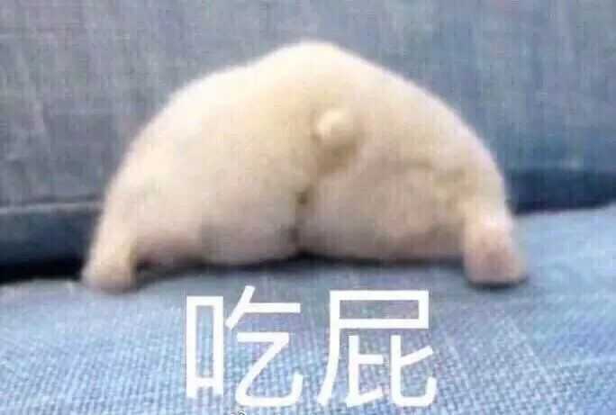 有没有类似这样的圆滚滚一眼就萌到心里的表情包?
