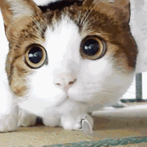 所以为什么要笑呢嘿嘿嘿嘿嘿