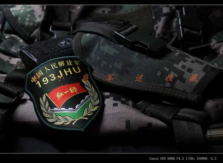 为什么解放军的个性化部队臂章不再使用了?