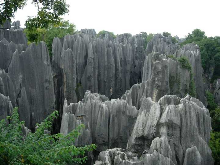 就是碳酸盐类岩石溶蚀形成的.云南的石林就很典型.