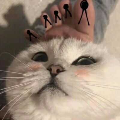 有什么猫狗的情侣头像?