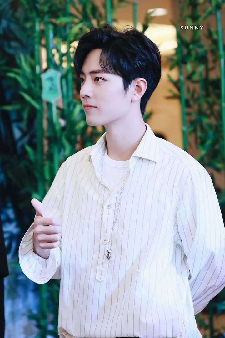 还有几句话,我感觉挺好的: 星河滚烫,肖战是人间理想.