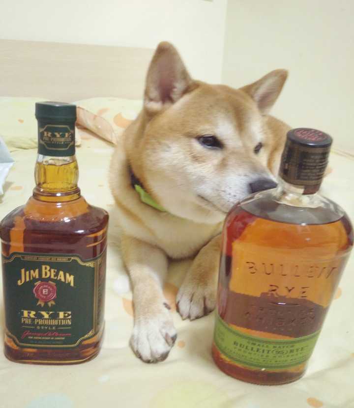 一个人喝酒的时候看什么比较应景且下酒?