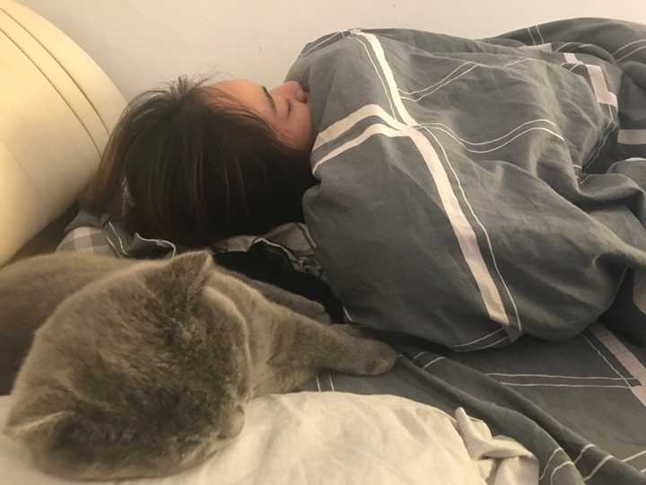 猫知道人在睡觉吗?