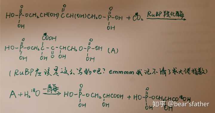 原因是什么?