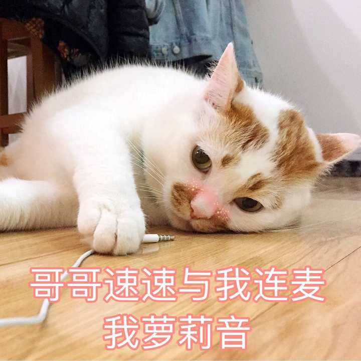 就跟上面的表情包一样吧,单身好,想跟谁好跟谁好哼.