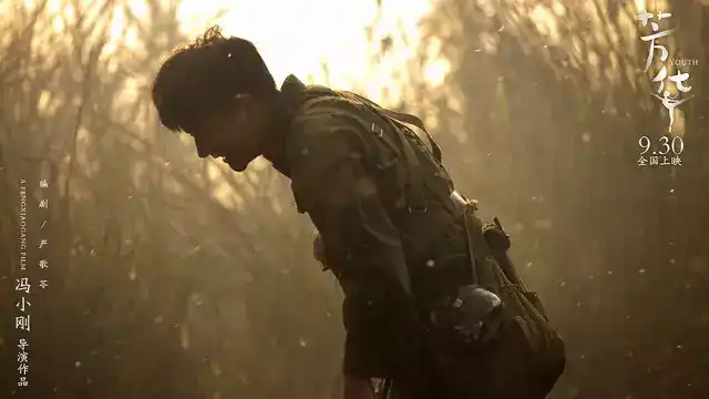 如何评价冯小刚导演的电影《芳华》?