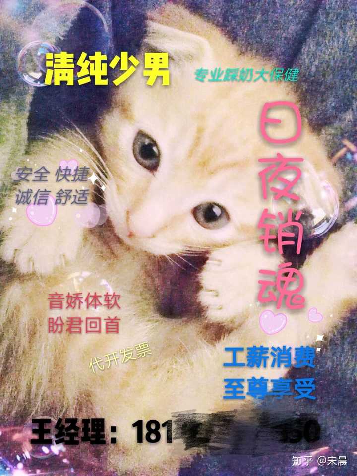 真是让人上头的喵
