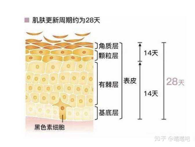 脸上皮肤太黄了,应该怎么改善?