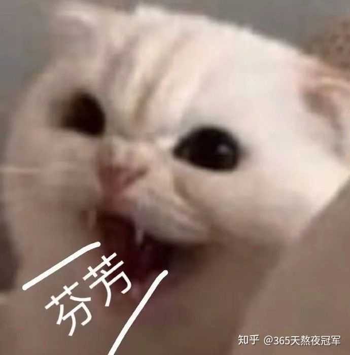 我呸  