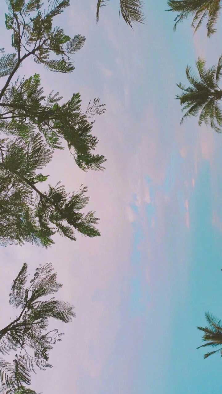 怎样的手机壁纸会显得逼格很高?