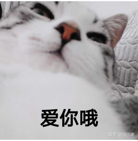 嘤!我委屈! 我对陆汤圆哪儿不好吗? 他只是独宠我爸罢辽